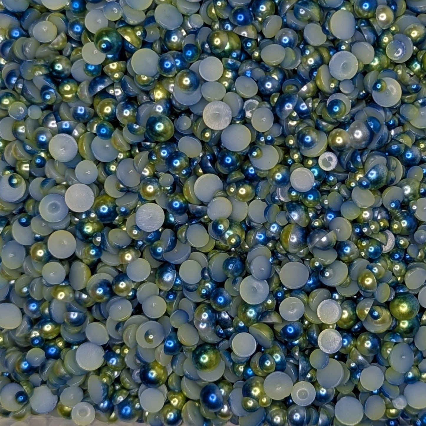Sea Dragon Scales