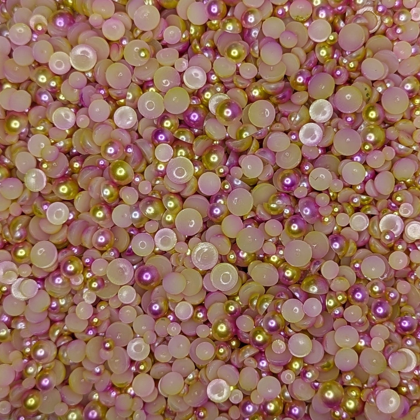 Sunkissed Shells